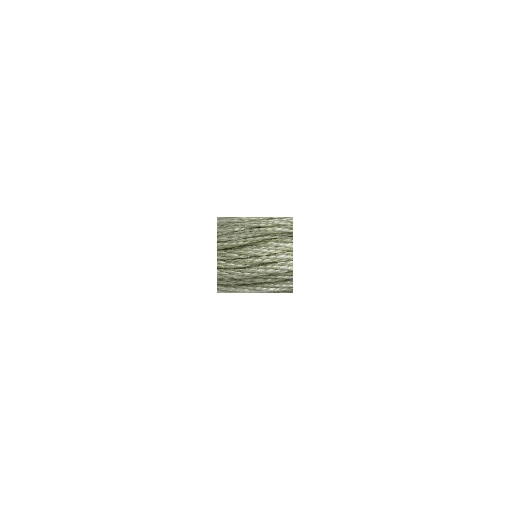 DMC 524 Six-Strand Floss – Very Light Fern Green