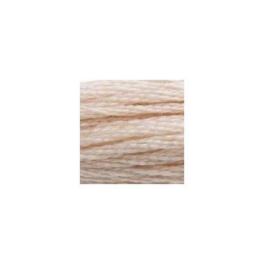 DMC 543 Six-Strand Floss – Ultra Very Light Beige Brown