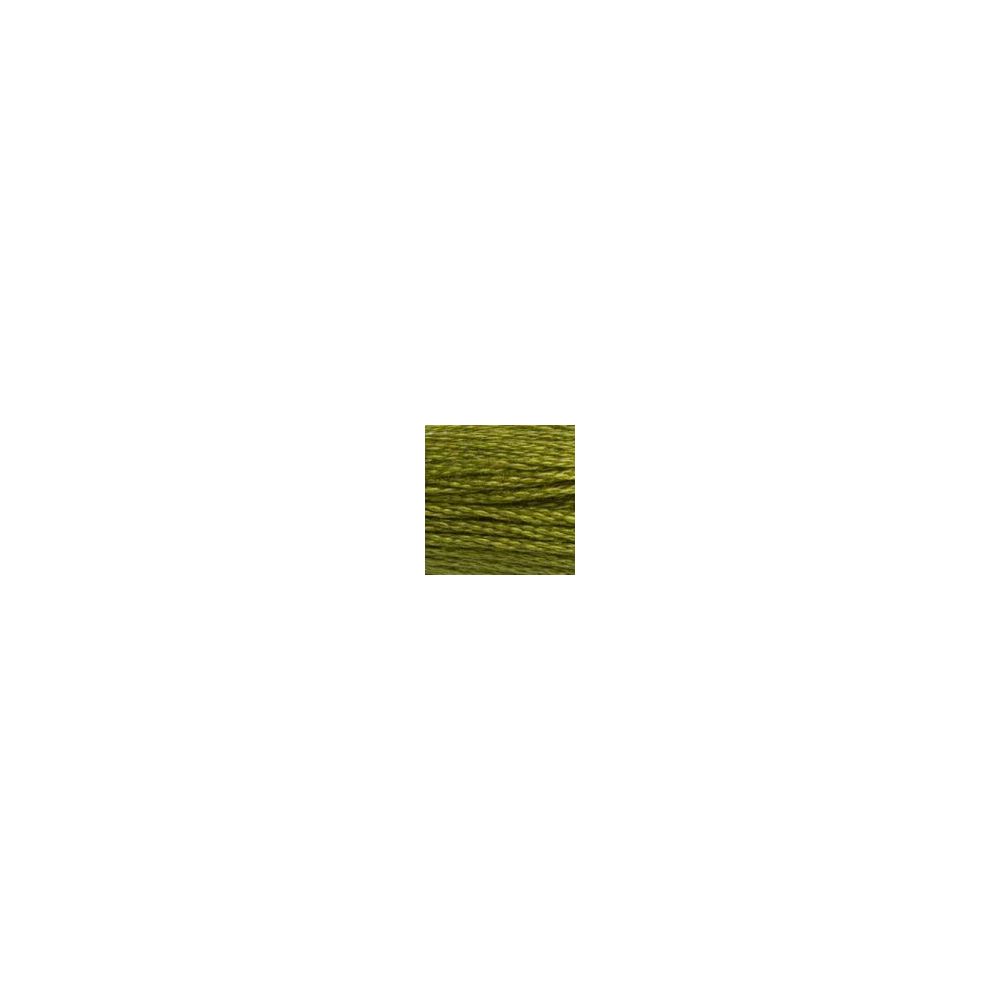 DMC 580 Six-Strand Floss – Dark Moss Green
