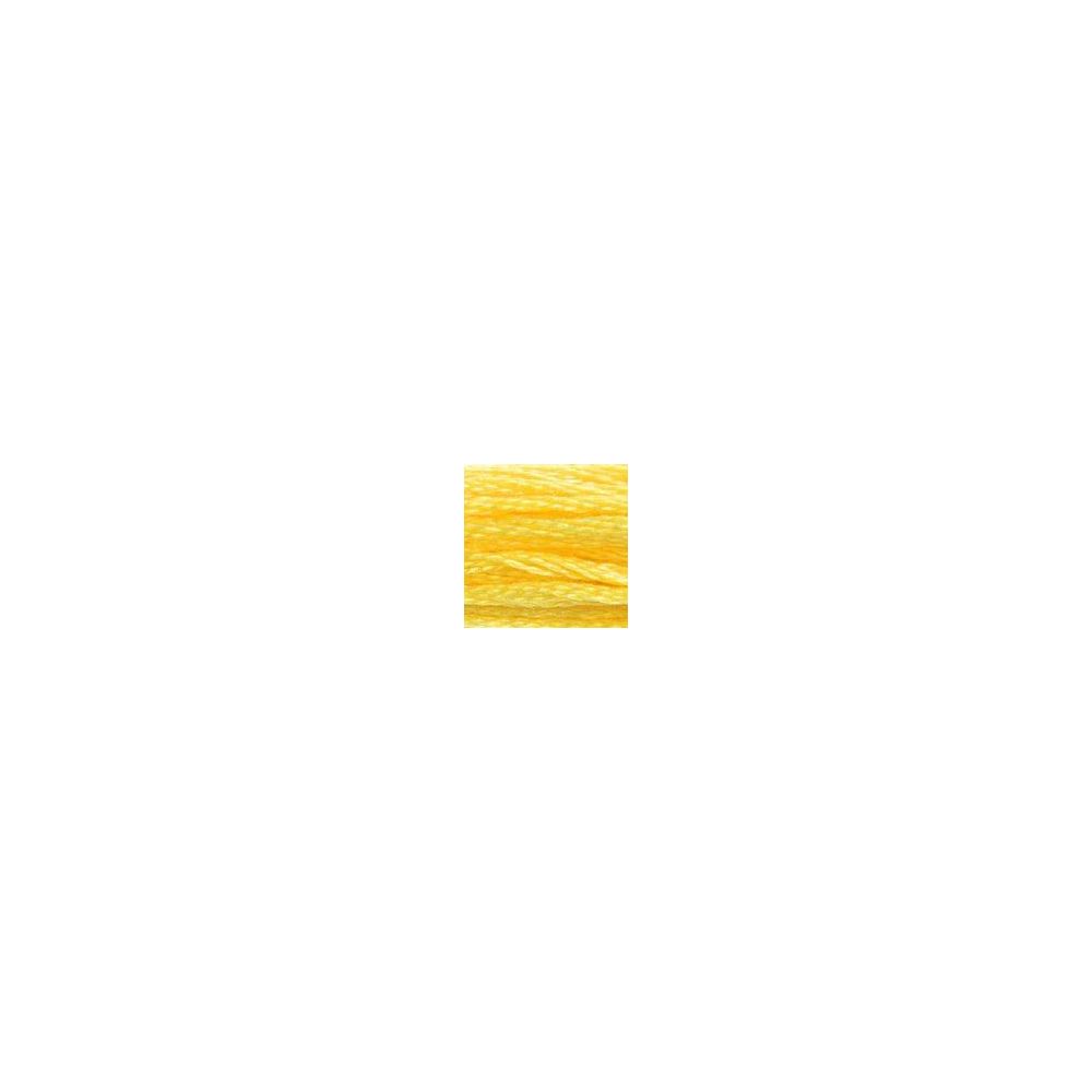 DMC 726 Six-Strand Floss – Light Topaz