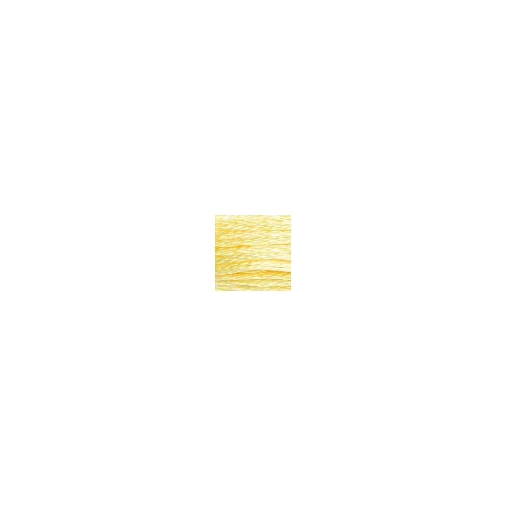 DMC 727 Six-Strand Floss – Very Light Topaz