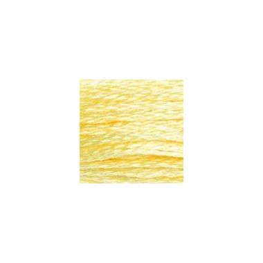 DMC 727 Six-Strand Floss – Very Light Topaz