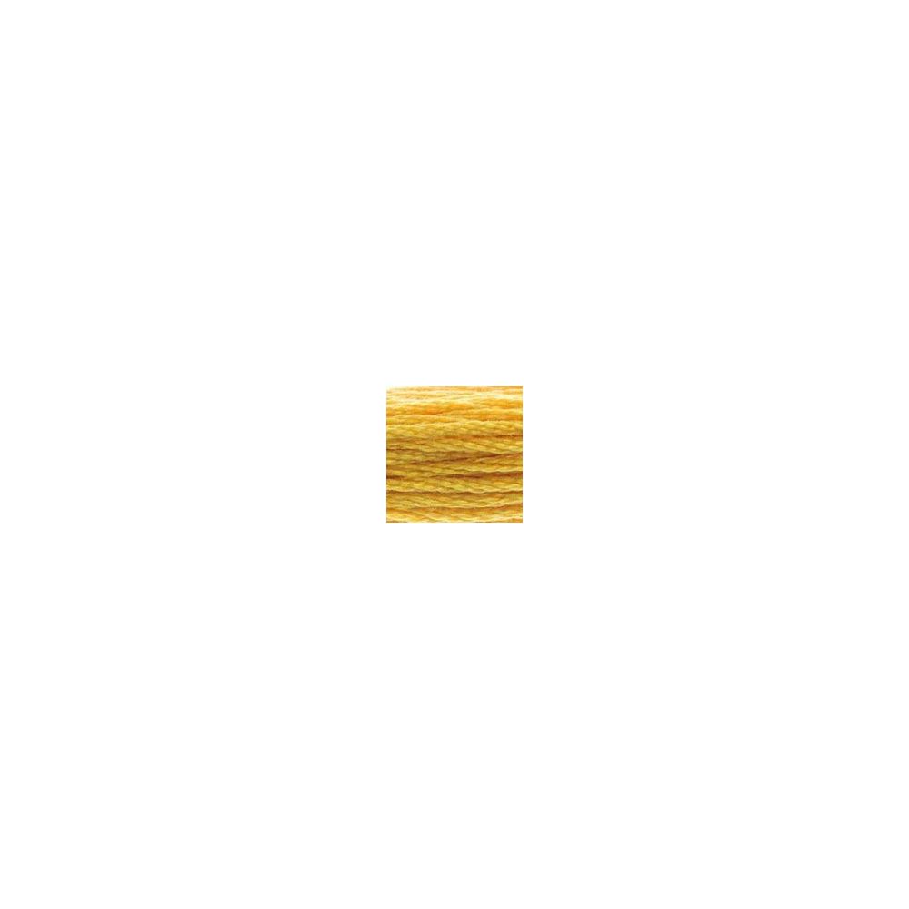 DMC 728 Six-Strand Floss – Topaz