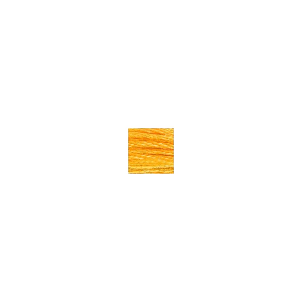 DMC 742 Six-Strand Floss – Light Tangerine