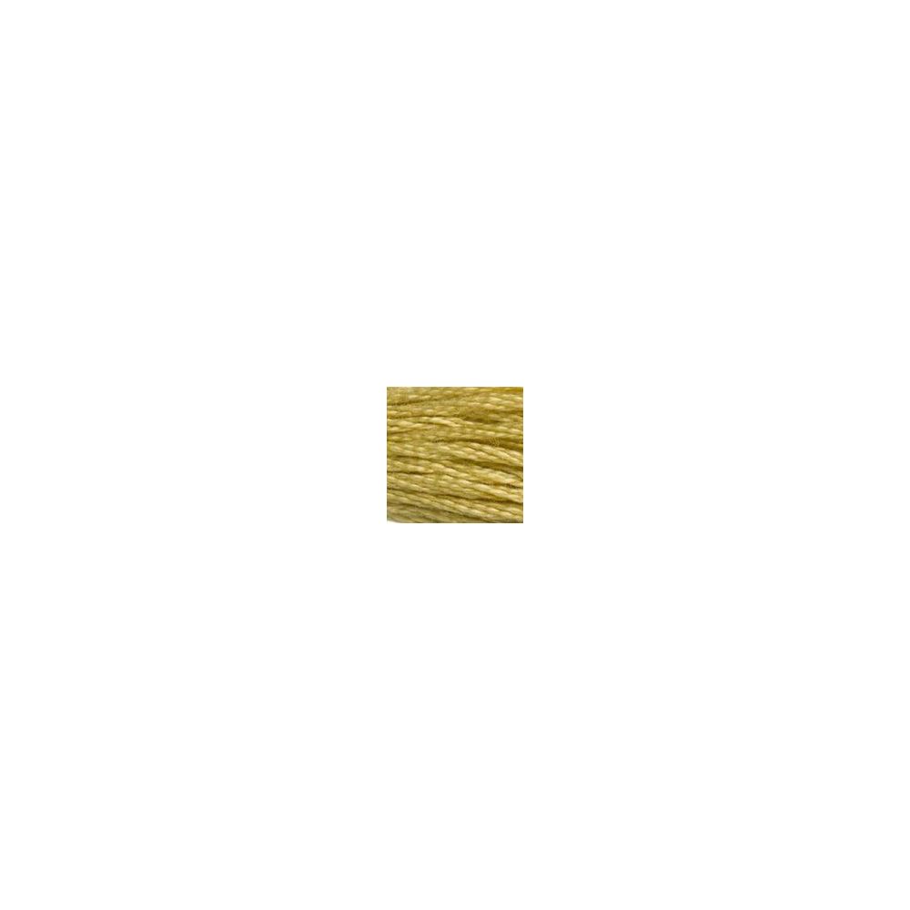 DMC 834 Six-Strand Floss – Very Light Golden Olive