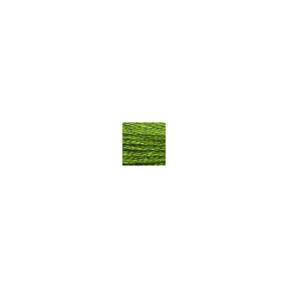 DMC 906 Six-Strand Floss – Medium Parrot Green
