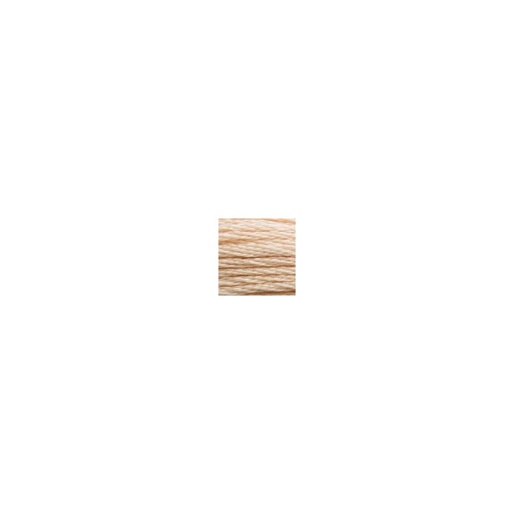 DMC 945 Six-Strand Floss – Tawny