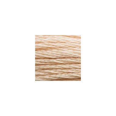 DMC 945 Six-Strand Floss – Tawny