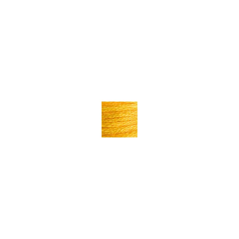 DMC 972 Six-Strand Floss – Deep Canary