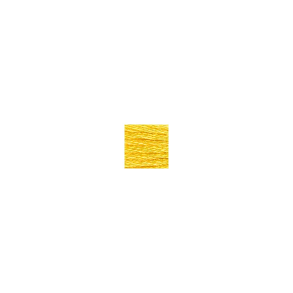 DMC 973 Six-Strand Floss – Bright Canary