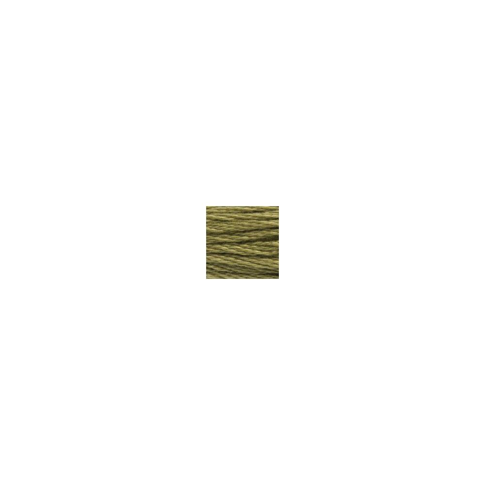 DMC 3012 Six-Strand Floss – Medium Khaki Green