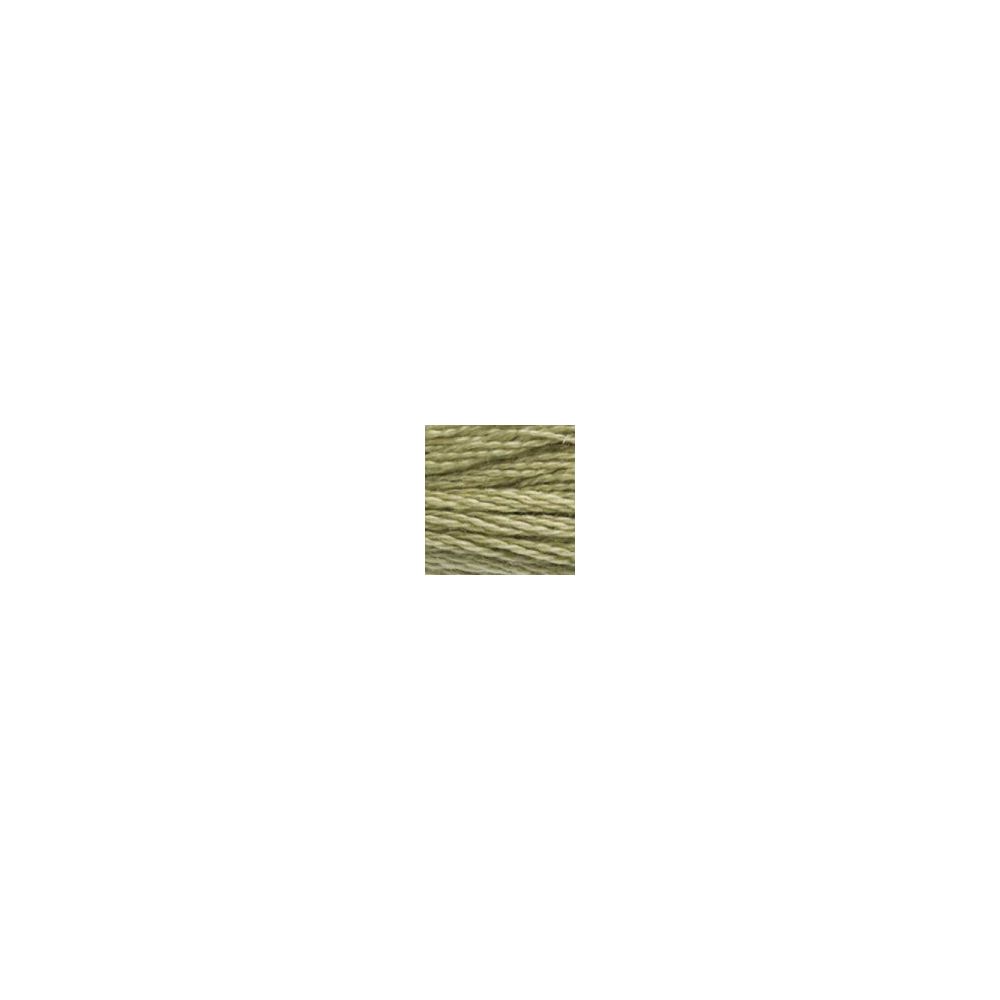 DMC 3013 Six-Strand Floss – Light Khaki Green