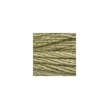DMC 3013 Six-Strand Floss – Light Khaki Green