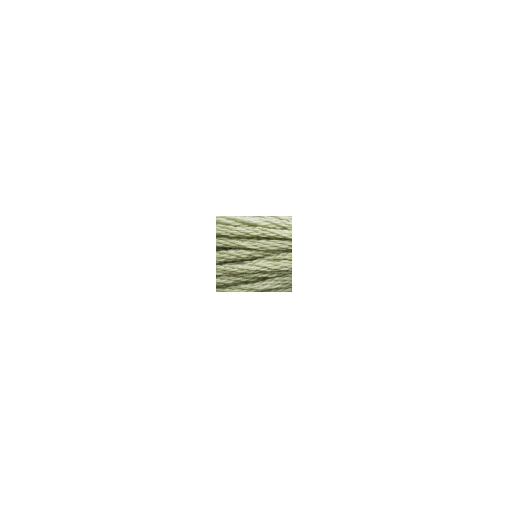 DMC 3053 Six-Strand Floss – Green Grey