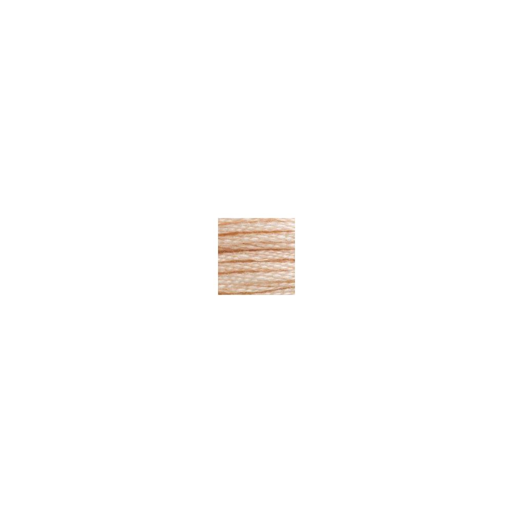 DMC 3774 Six-Strand Floss – Very Light Desert Sand