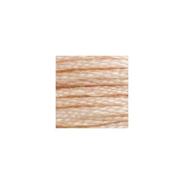 DMC 3774 Six-Strand Floss – Very Light Desert Sand