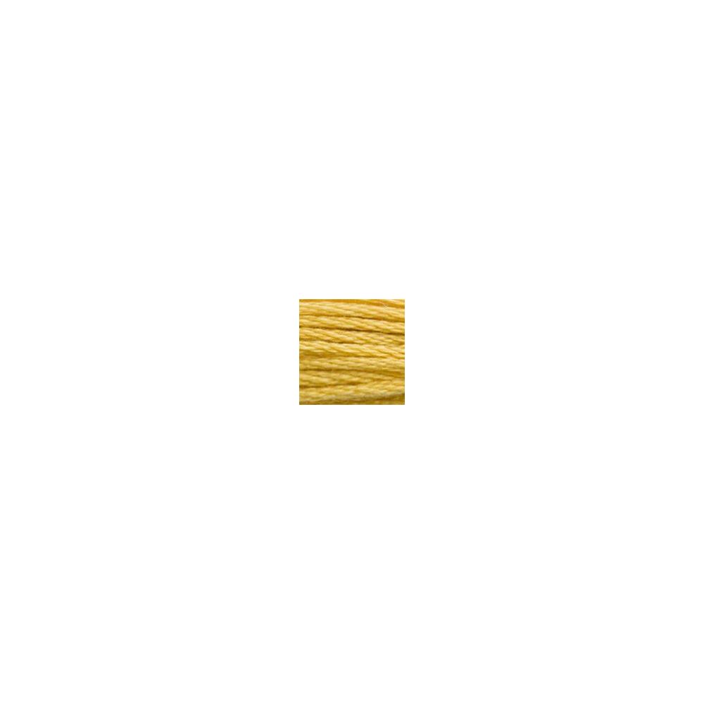 DMC 3821 Six-Strand Floss – Straw