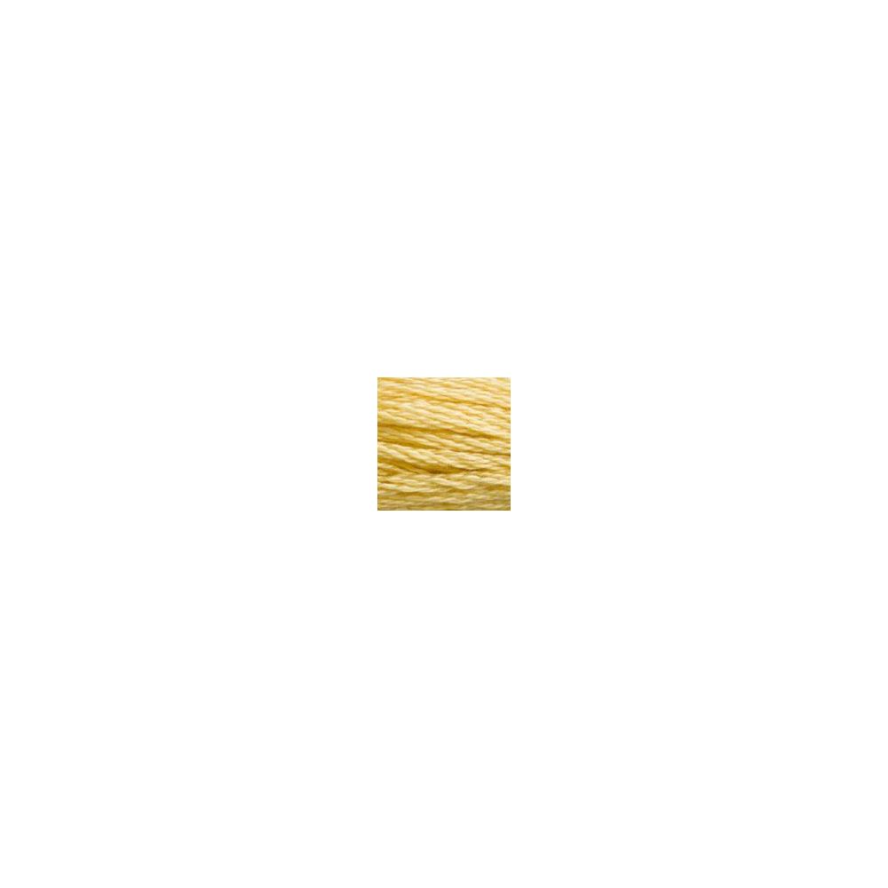 DMC 3822 Six-Strand Floss – Light Straw