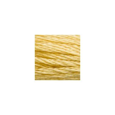 DMC 3822 Six-Strand Floss – Light Straw