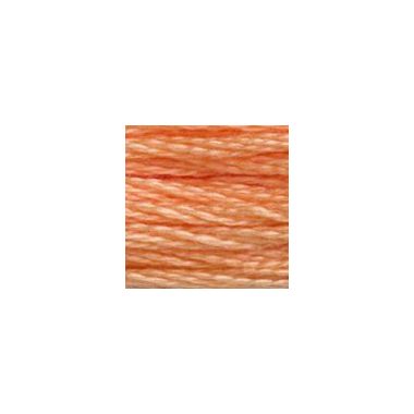 DMC 3825 Six-Strand Floss – Pale Pumpkin