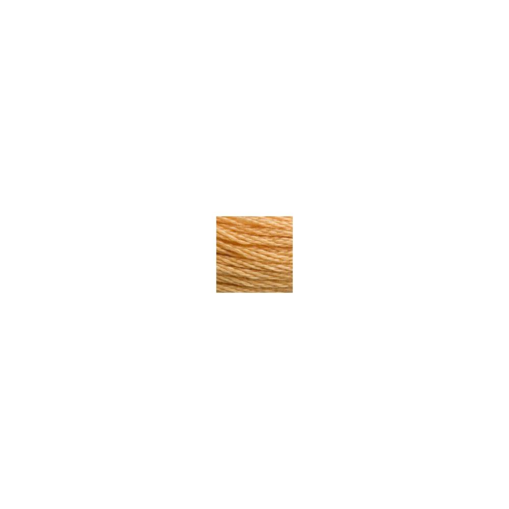 DMC 3827 Six-Strand Floss – Pale Golden Brown