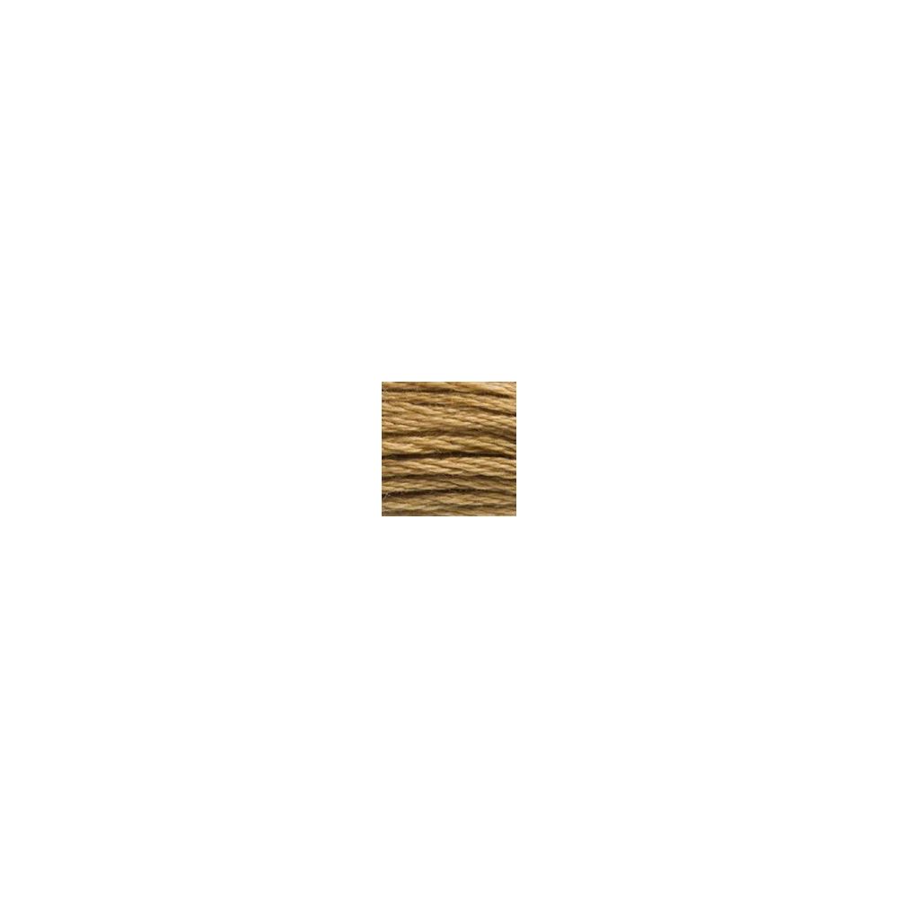 DMC 3828 Six-Strand Floss – Hazelnut Brown
