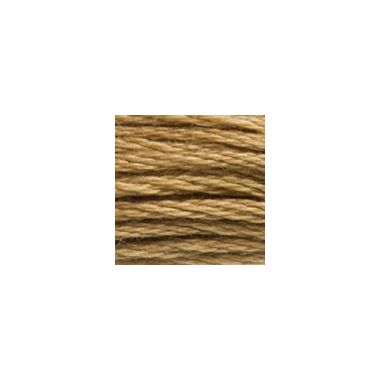 DMC 3828 Six-Strand Floss – Hazelnut Brown