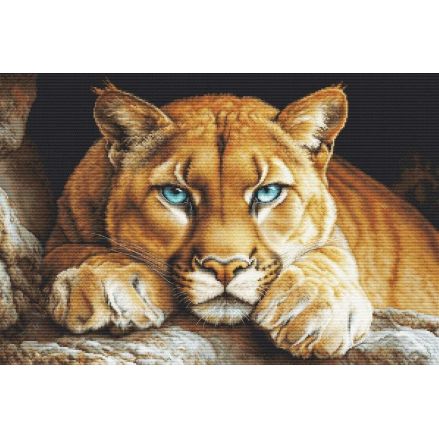 Luca-S Gold Cross Stitch Kit, The Wild Spirit - DIY Kit, BU5081
