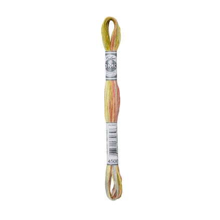 DMC 4508 Coloris Floss - Frosted Countryside