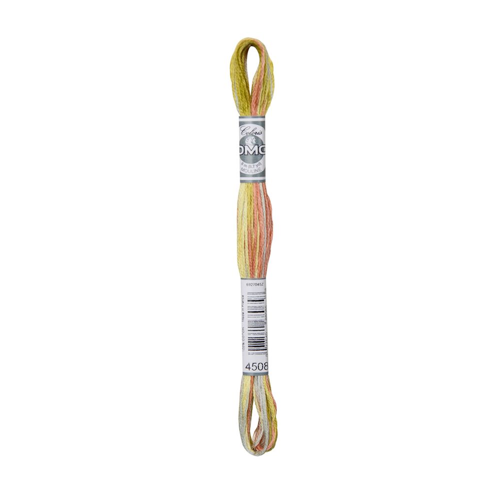 DMC 4508 Coloris Floss - Frosted Countryside DMC 4508 Coloris Floss - Frosted Countryside