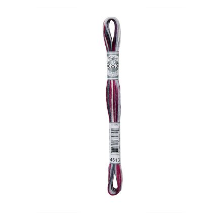 DMC 4513 Coloris Floss - London