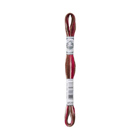 DMC 4516 Coloris Floss - Black Forest