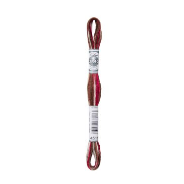 DMC 4516 Coloris Floss - Black Forest