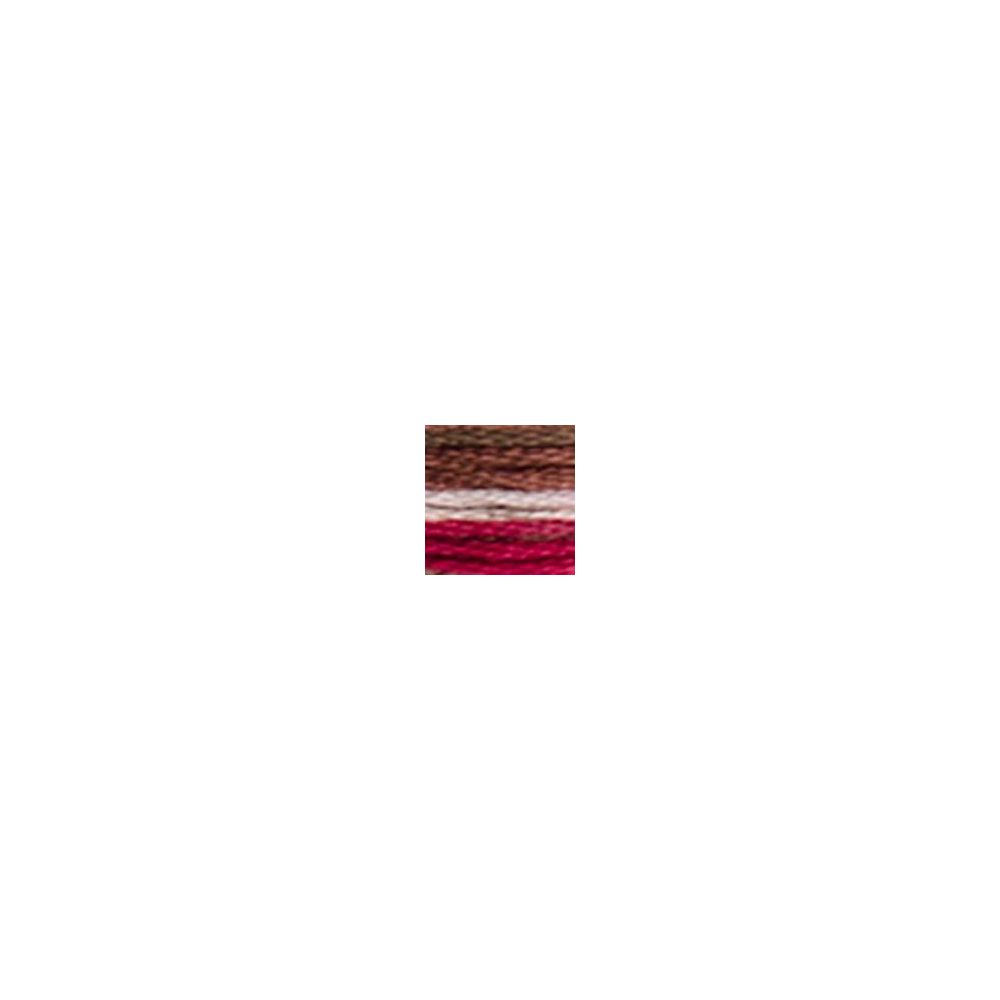 DMC 4516 Coloris Floss - Black Forest
