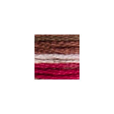 DMC 4516 Coloris Floss - Black Forest
