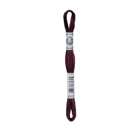 DMC 4522 Coloris Floss - Canadian Night