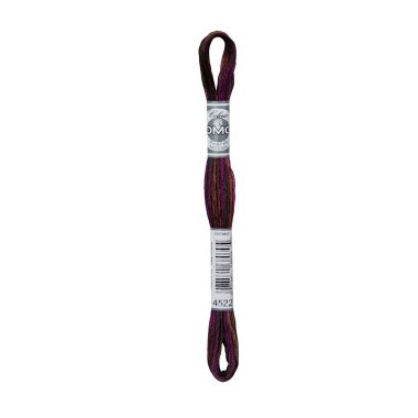 DMC 4522 Coloris Floss - Canadian Night