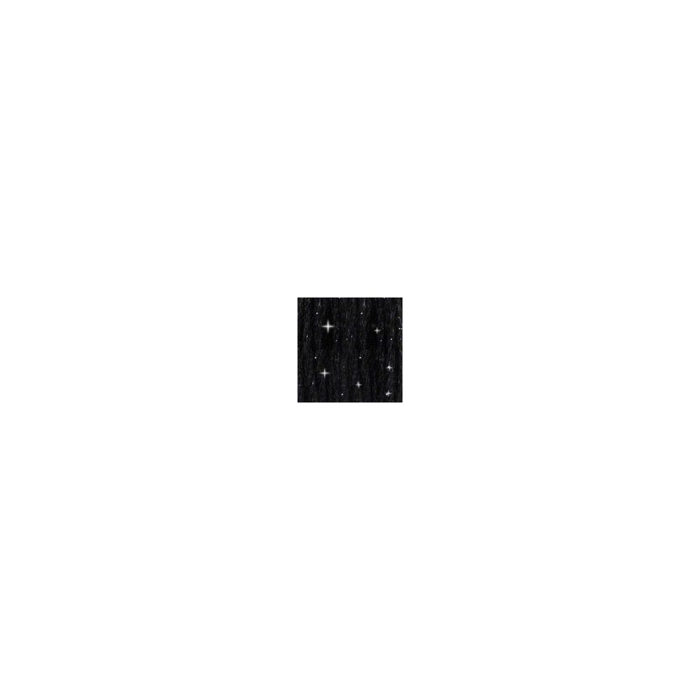 DMC C310 Etoile Floss - Black