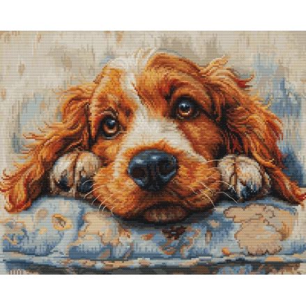 Cross Stitch Kit Luca-S - Cocker Spaniel, BU5058