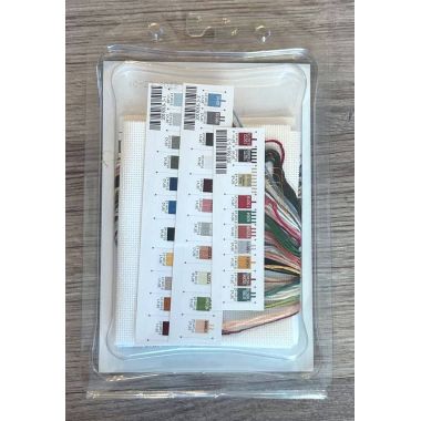 Dimensions Cold Collection Petites Counted Cross Stitch Kit Santa's Secret, 8799