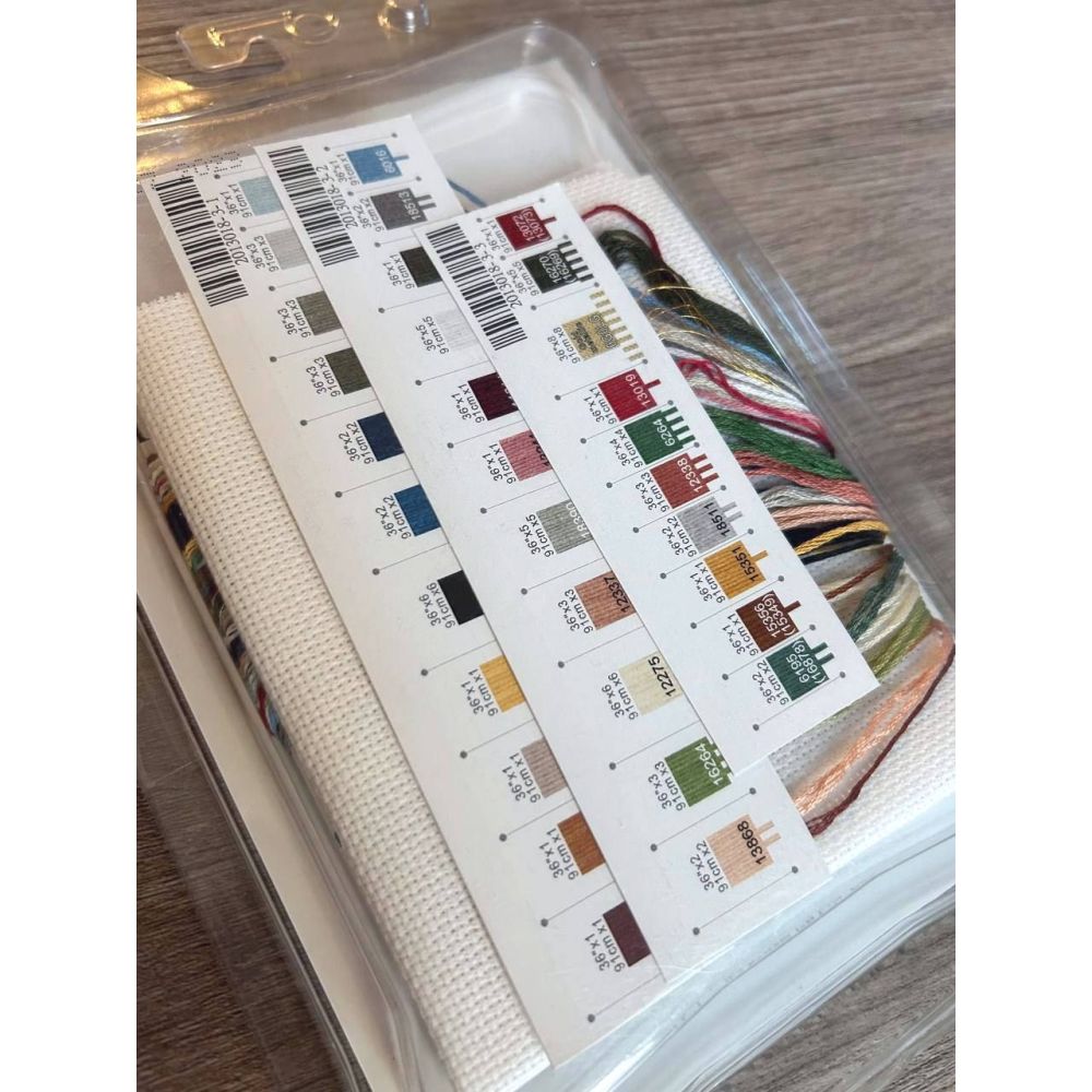 Dimensions Cold Collection Petites Counted Cross Stitch Kit Santa's Secret, 8799