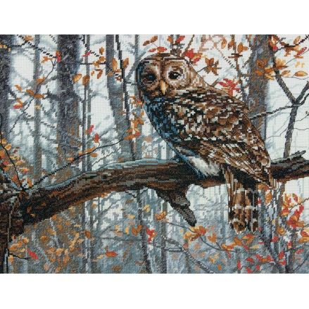 Dimensions Counted Cross Stitch Kit 70-35311 – Wise Owl