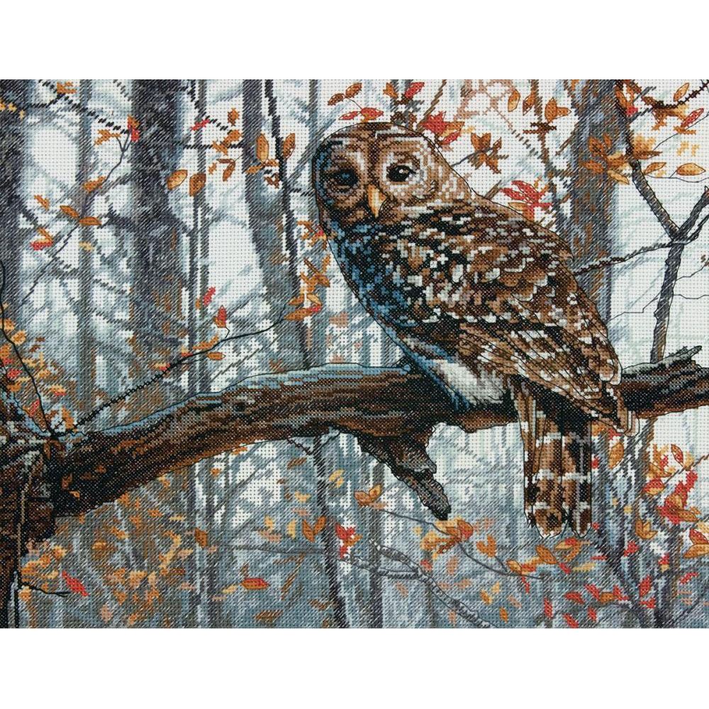 Dimensions Counted Cross Stitch Kit 70-35311 – Wise Owl