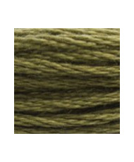 3011 DMC Mouline Stranded cotton Dark Khaki Green