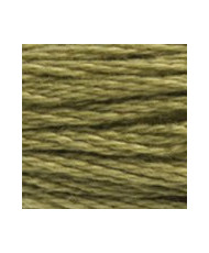 3012 DMC Mouline Stranded cotton Medium Khaki Green
