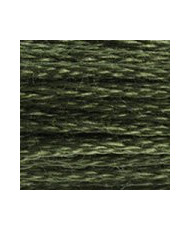 3051 DMC Mouline Stranded cotton Dark Green Grey