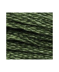 3362 DMC Mouline Stranded cotton Dark Pine Green