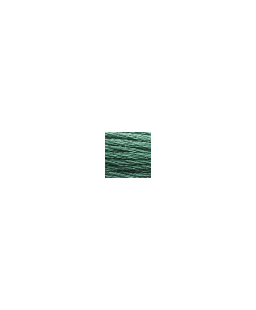 3815 DMC Mouline Stranded cotton Dark Celadon Green