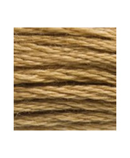 3828 DMC Mouline Stranded cotton Hazelnut Brown