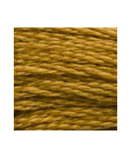 3829 DMC Mouline Stranded cotton Very Dark Old Gold
